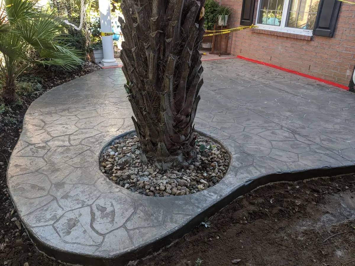 A stamped concrete patio curving around the trunk of a palm, with a pebble collar at its base