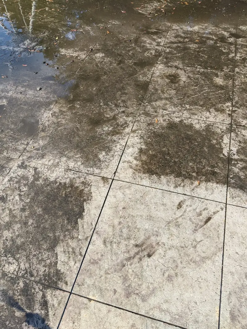 A stamped concrete slab darkened by weathering and algae staining